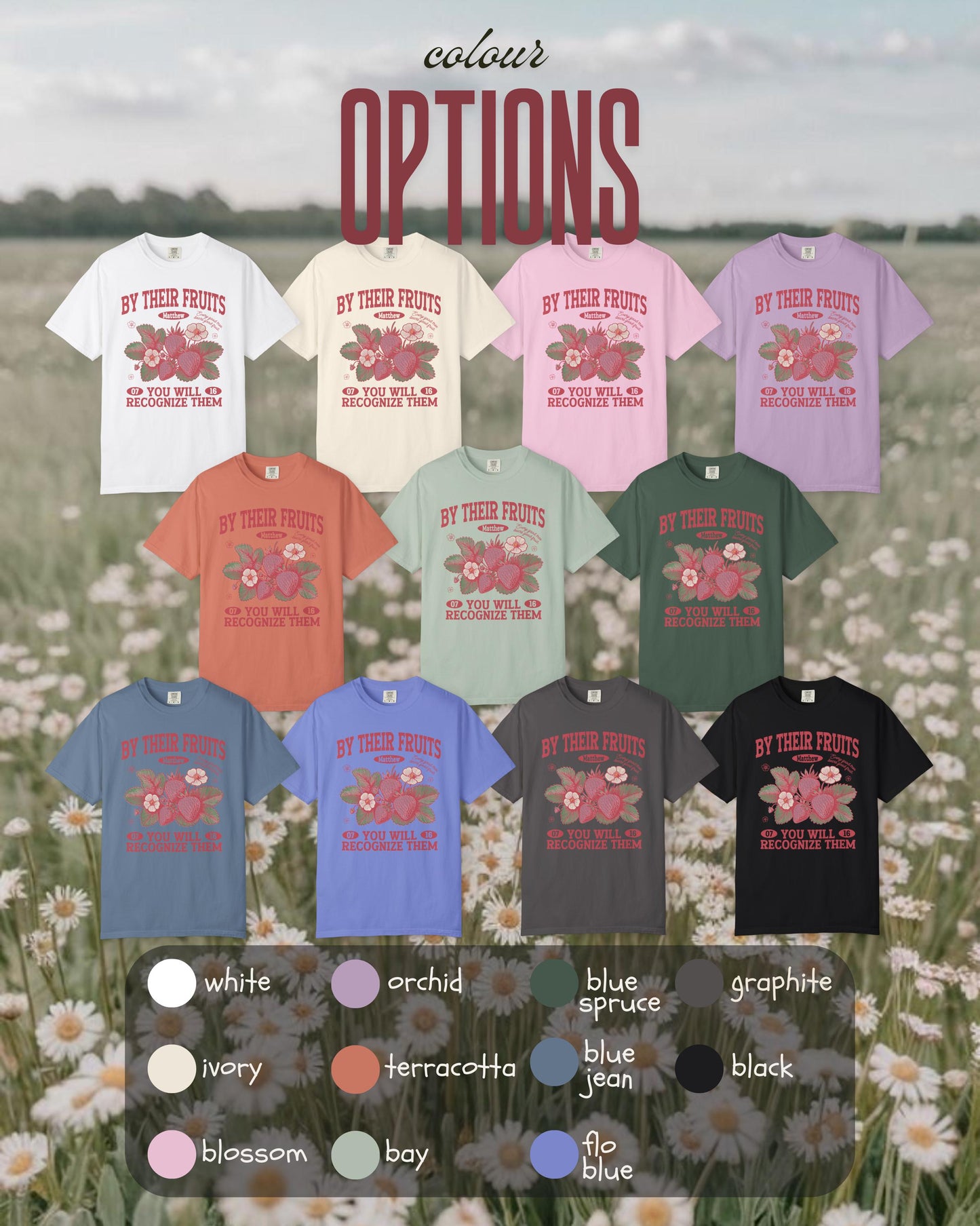 By Their Fruits Bible Verse T-Shirt, Christian Graphic Tee, Matthew 7:16 Scripture Shirt, Faith Based Tee, Fruit of the Spirit Tshirt